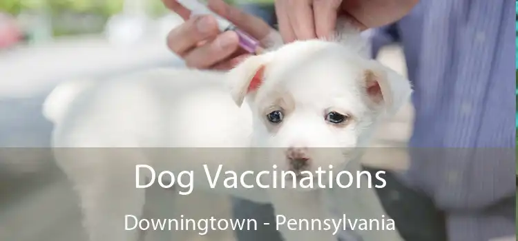 Dog Vaccinations Downingtown - Pennsylvania