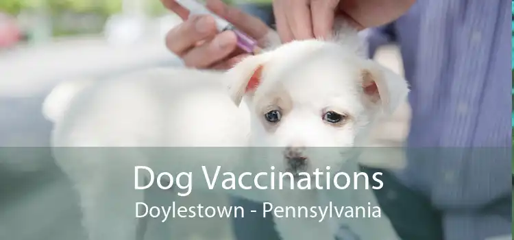 Dog Vaccinations Doylestown - Pennsylvania