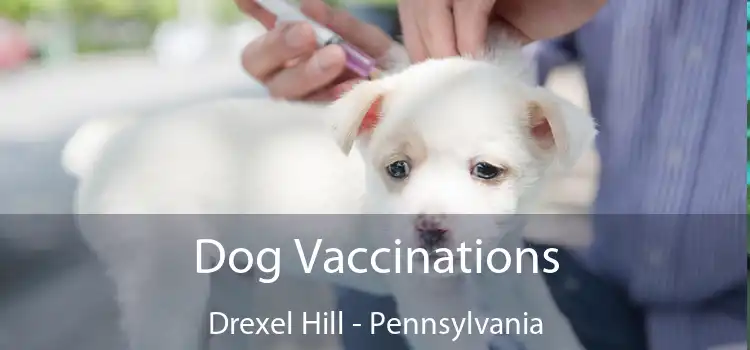 Dog Vaccinations Drexel Hill - Pennsylvania