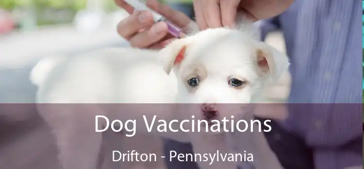 Dog Vaccinations Drifton - Pennsylvania