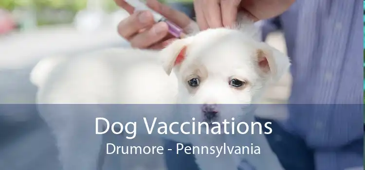 Dog Vaccinations Drumore - Pennsylvania