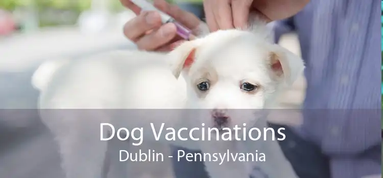 Dog Vaccinations Dublin - Pennsylvania