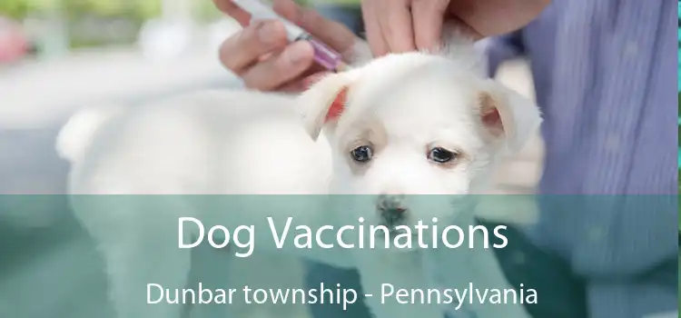 Dog Vaccinations Dunbar township - Pennsylvania