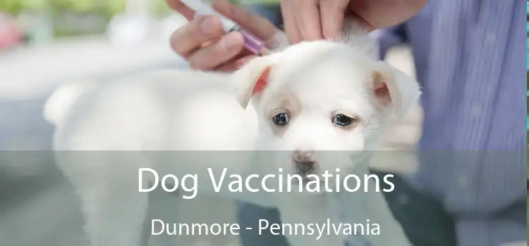 Dog Vaccinations Dunmore - Pennsylvania