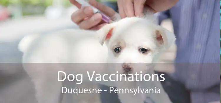 Dog Vaccinations Duquesne - Pennsylvania