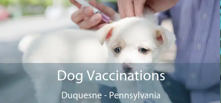 Dog Vaccinations Duquesne - Pennsylvania