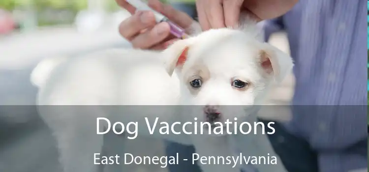 Dog Vaccinations East Donegal - Pennsylvania