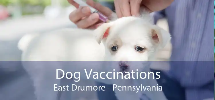 Dog Vaccinations East Drumore - Pennsylvania