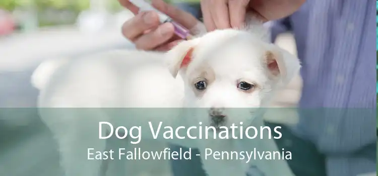 Dog Vaccinations East Fallowfield - Pennsylvania