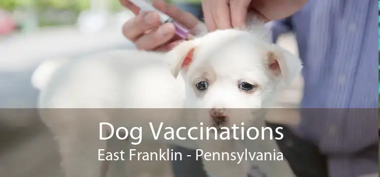Dog Vaccinations East Franklin - Pennsylvania