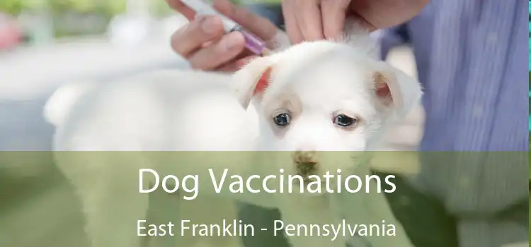 Dog Vaccinations East Franklin - Pennsylvania