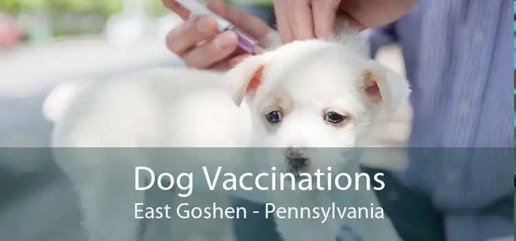 Dog Vaccinations East Goshen - Pennsylvania
