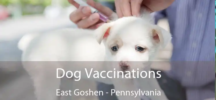 Dog Vaccinations East Goshen - Pennsylvania