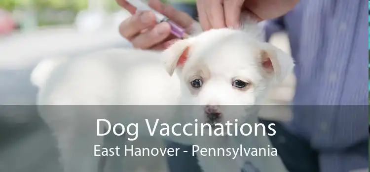 Dog Vaccinations East Hanover - Pennsylvania