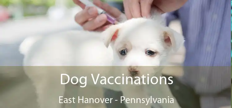 Dog Vaccinations East Hanover - Pennsylvania