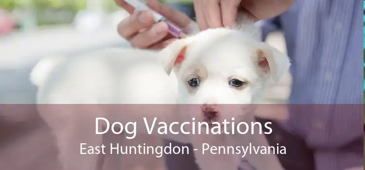 Dog Vaccinations East Huntingdon - Pennsylvania
