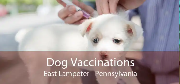 Dog Vaccinations East Lampeter - Pennsylvania
