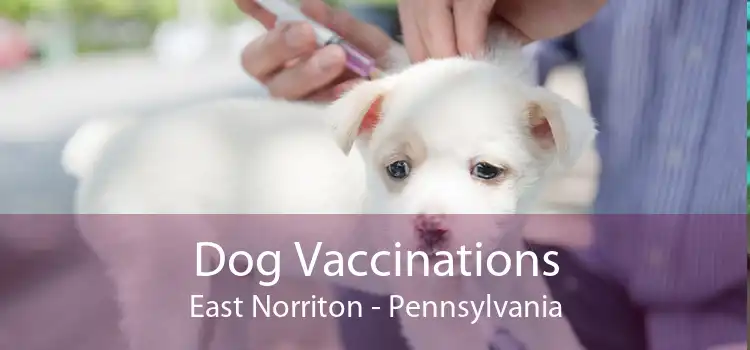 Dog Vaccinations East Norriton - Pennsylvania