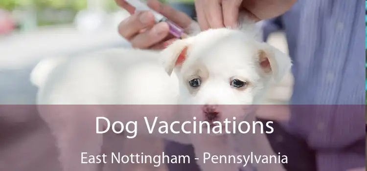 Dog Vaccinations East Nottingham - Pennsylvania