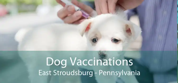 Dog Vaccinations East Stroudsburg - Pennsylvania