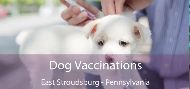 Dog Vaccinations East Stroudsburg - Pennsylvania