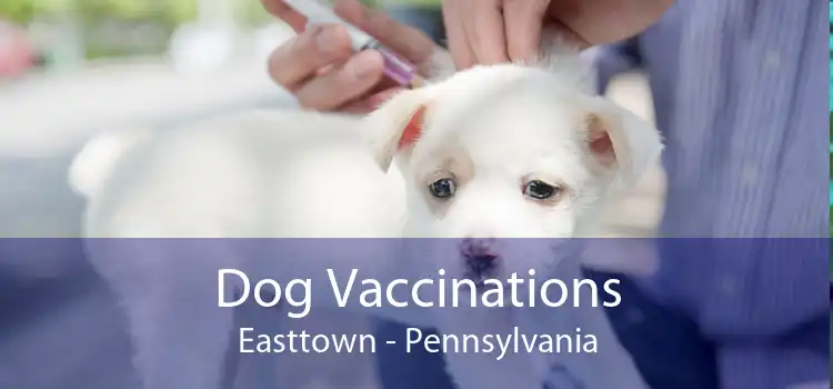 Dog Vaccinations Easttown - Pennsylvania
