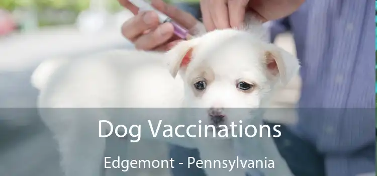 Dog Vaccinations Edgemont - Pennsylvania
