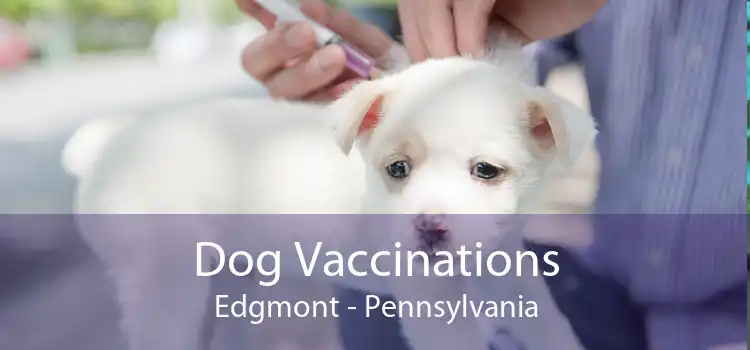 Dog Vaccinations Edgmont - Pennsylvania