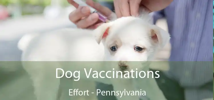 Dog Vaccinations Effort - Pennsylvania