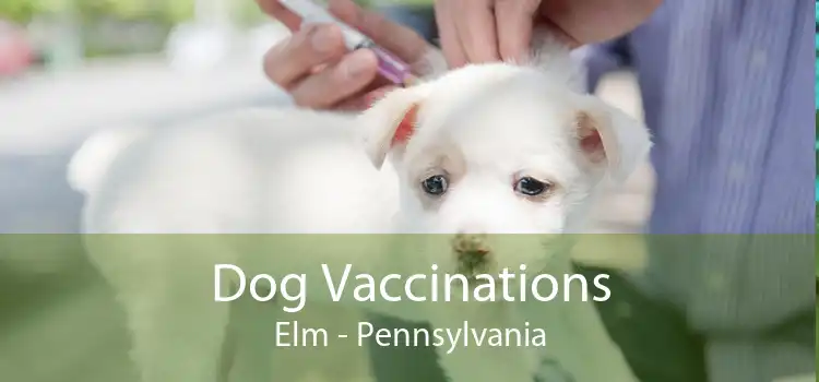 Dog Vaccinations Elm - Pennsylvania