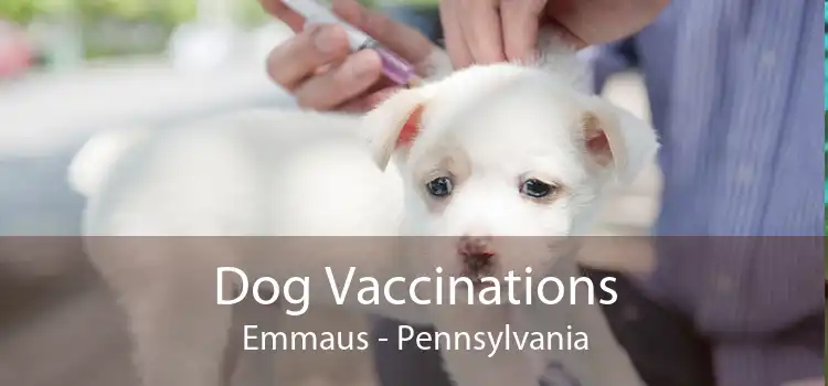Dog Vaccinations Emmaus - Pennsylvania