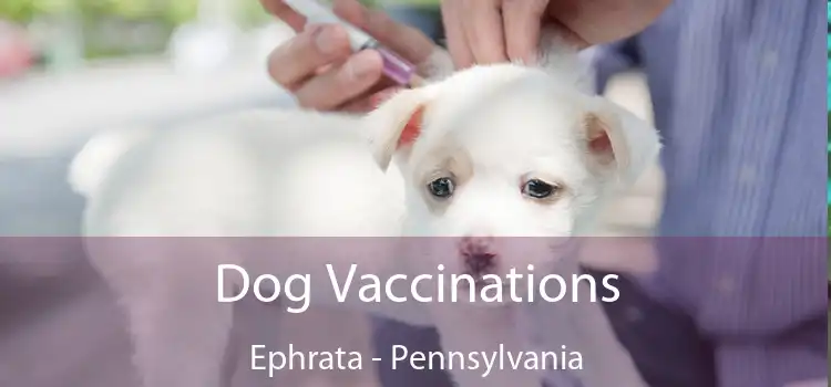 Dog Vaccinations Ephrata - Pennsylvania