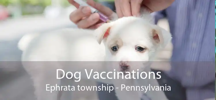 Dog Vaccinations Ephrata township - Pennsylvania