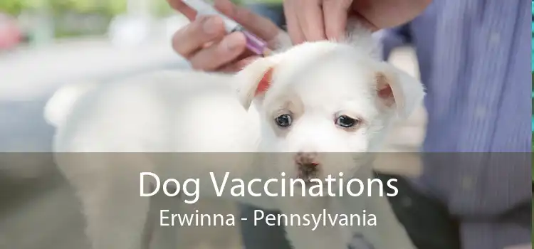 Dog Vaccinations Erwinna - Pennsylvania