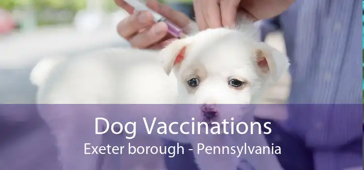 Dog Vaccinations Exeter borough - Pennsylvania