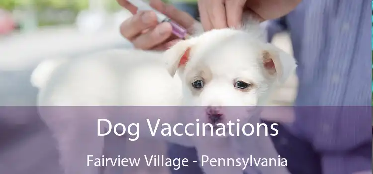 Dog Vaccinations Fairview Village - Pennsylvania