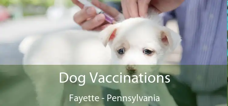 Dog Vaccinations Fayette - Pennsylvania