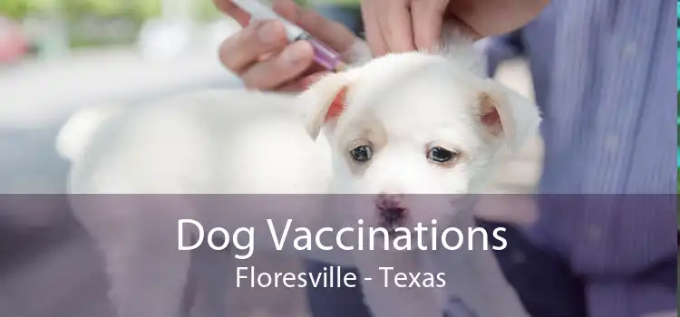 Dog Vaccinations Floresville - Texas