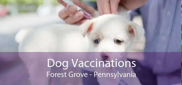 Dog Vaccinations Forest Grove - Pennsylvania