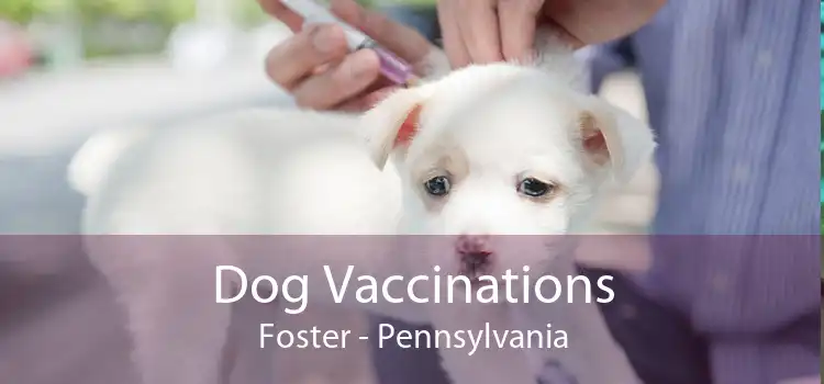 Dog Vaccinations Foster - Pennsylvania