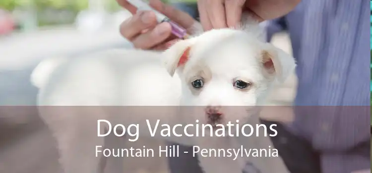 Dog Vaccinations Fountain Hill - Pennsylvania