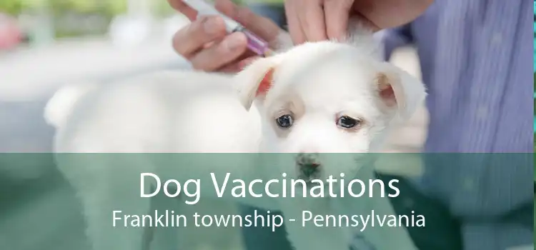 Dog Vaccinations Franklin township - Pennsylvania