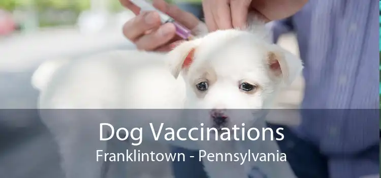Dog Vaccinations Franklintown - Pennsylvania