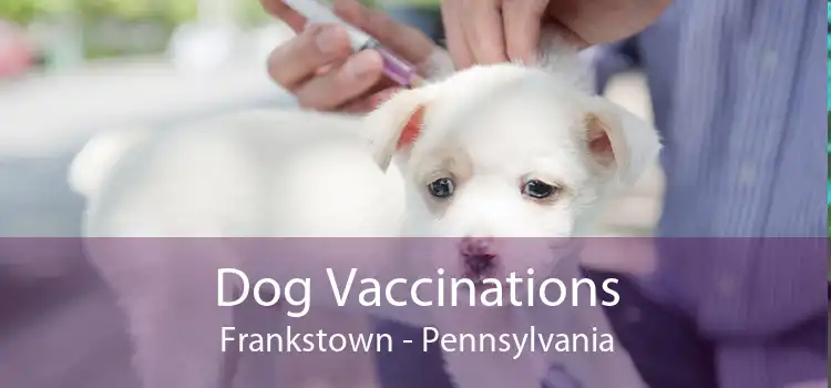 Dog Vaccinations Frankstown - Pennsylvania