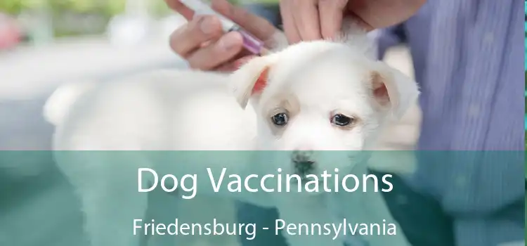 Dog Vaccinations Friedensburg - Pennsylvania