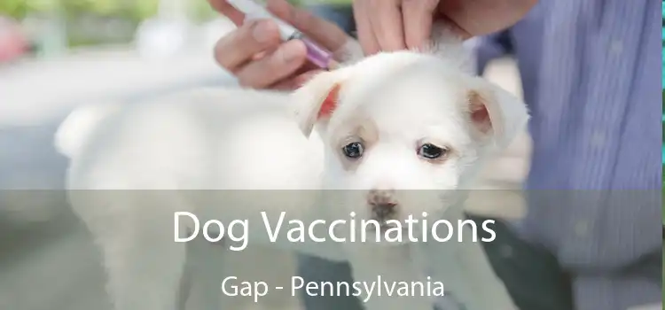 Dog Vaccinations Gap - Pennsylvania