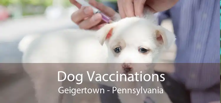 Dog Vaccinations Geigertown - Pennsylvania