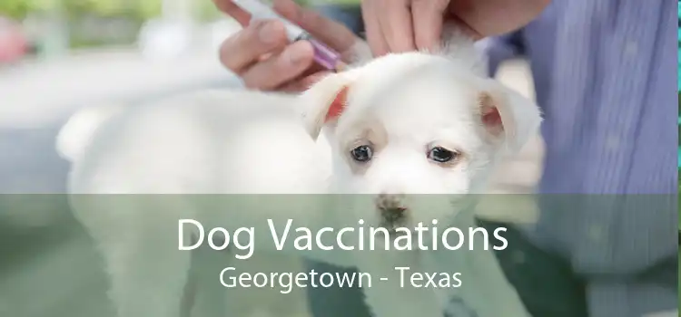 Dog Vaccinations Georgetown - Texas