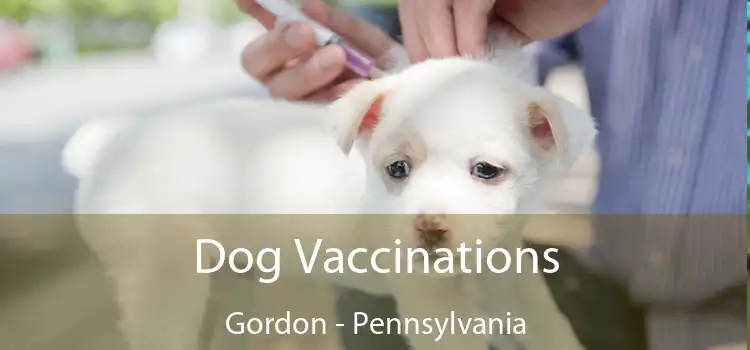 Dog Vaccinations Gordon - Pennsylvania
