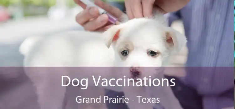 Dog Vaccinations Grand Prairie - Texas